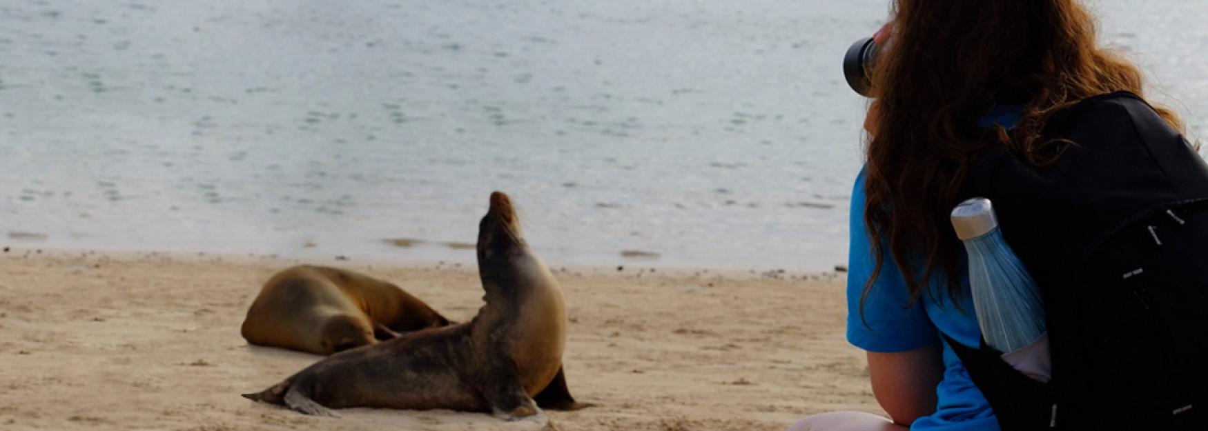 Dominique Mellone stands on a beach in the Galapagos Islands taking a photo of two seals in the distance