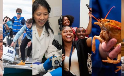 A collage of images showing photos from 2023, including UNE President James Herbert, an orange lobster, and various student and faculty photos