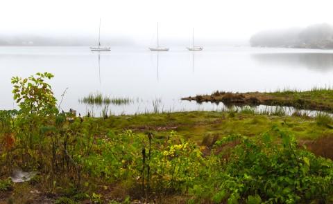 The shoreline of the Saco River with sailboats visible 