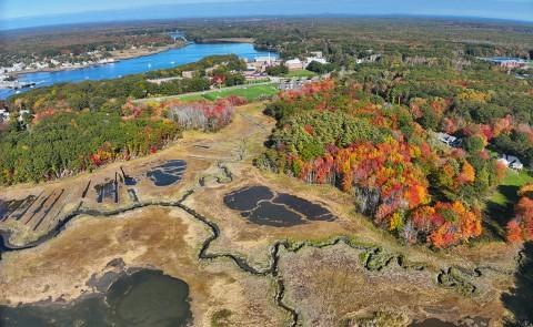 An aerial view of salt marshes in Biddeford Pool