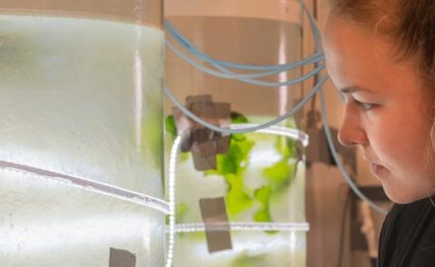 student in marine science lab